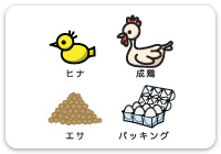 サルモネラ菌対策